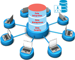 Ayraz Computer Solution Database System